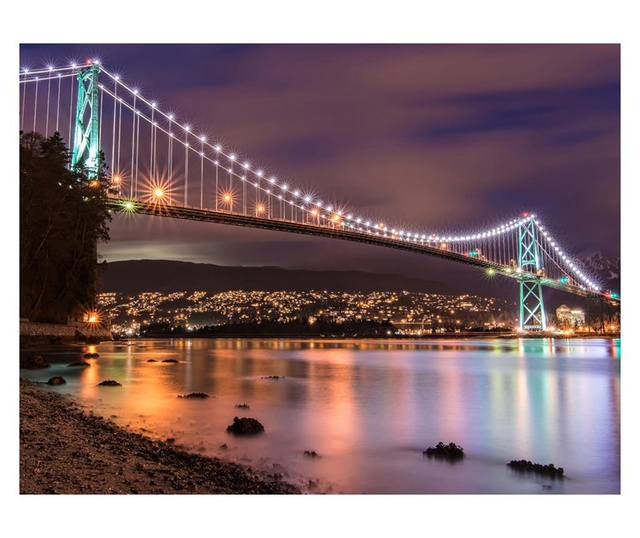 Ταπετσαρία Lions Gate Bridge - Vancouver (Canada) 231x300 cm