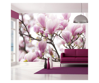 Ταπετσαρία Magnolia bloosom 231x300 cm
