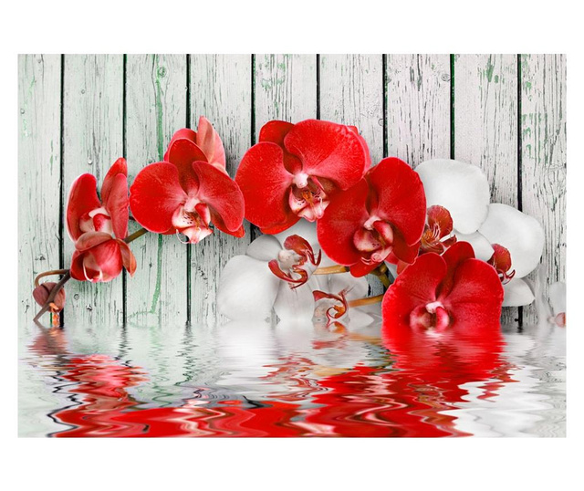 Ταπετσαρία Ruby orchid 210x300 cm