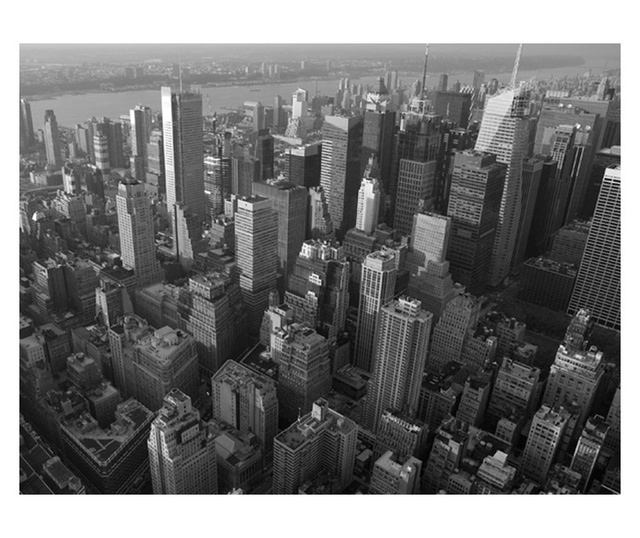 Ταπετσαρία New York: skyscrapers (bird's eye view) 193x250 cm