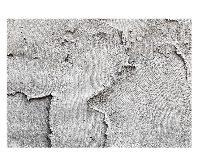 Ταπετσαρία Concrete nothingness 175x250 cm