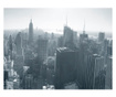Ταπετσαρία New York City skyline black and white 193x250 cm