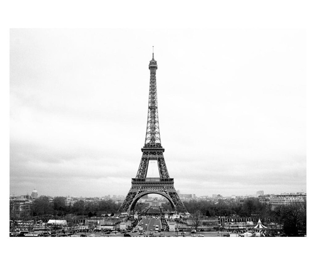 Ταπετσαρία Paris: black and white photography 193x250 cm