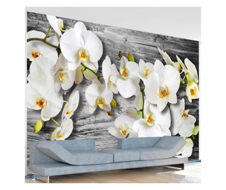 Ταπετσαρία Callous orchids III 210x300 cm