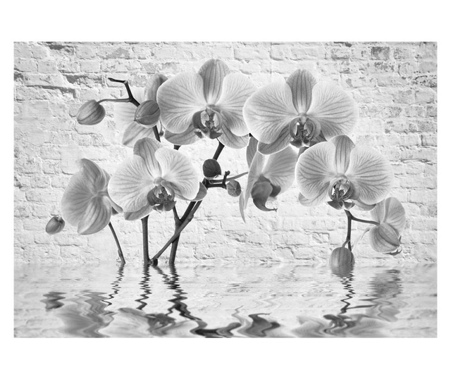 Ταπετσαρία Orchid in Shades of Gray 175x250 cm