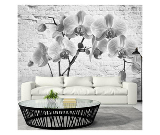 Ταπετσαρία Orchid in Shades of Gray 175x250 cm