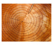 Ταπετσαρία Annual rings on a tree trunk 193x250 cm