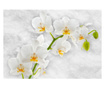 Ταπετσαρία Lyrical orchid - White 210x300 cm