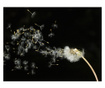 Ταπετσαρία Dandelion seeds carried by the wind 193x250 cm