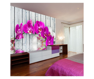 Ταπετσαρία Violet orchids with water reflexion 231x300 cm