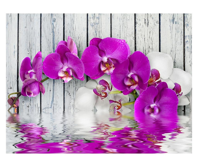 Ταπετσαρία Violet orchids with water reflexion 231x300 cm
