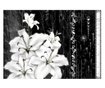 Ταπετσαρία Crying lilies 210x300 cm