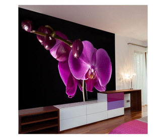 Ταπετσαρία elegant  orchis 231x300 cm