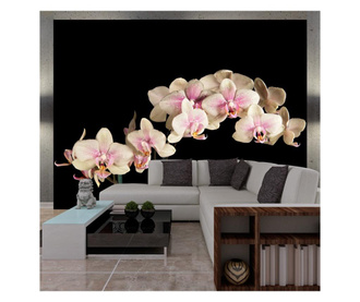 Ταπετσαρία Blooming orchid 193x250 cm
