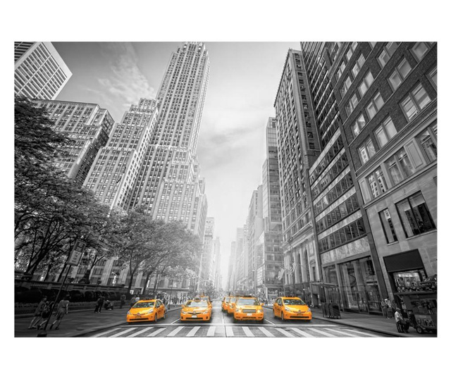 Ταπετσαρία New York - yellow taxis 210x300 cm