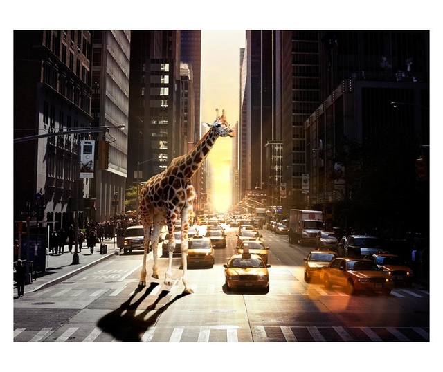 Ταπετσαρία Giraffe in the big city 231x300 cm
