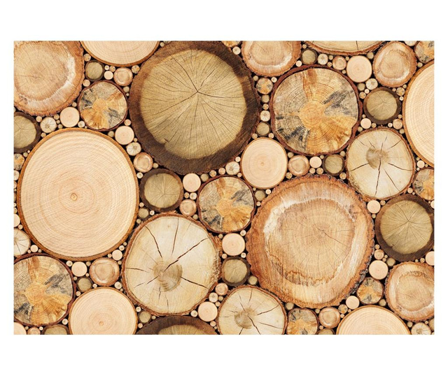 Ταπετσαρία Wood grains 210x300 cm