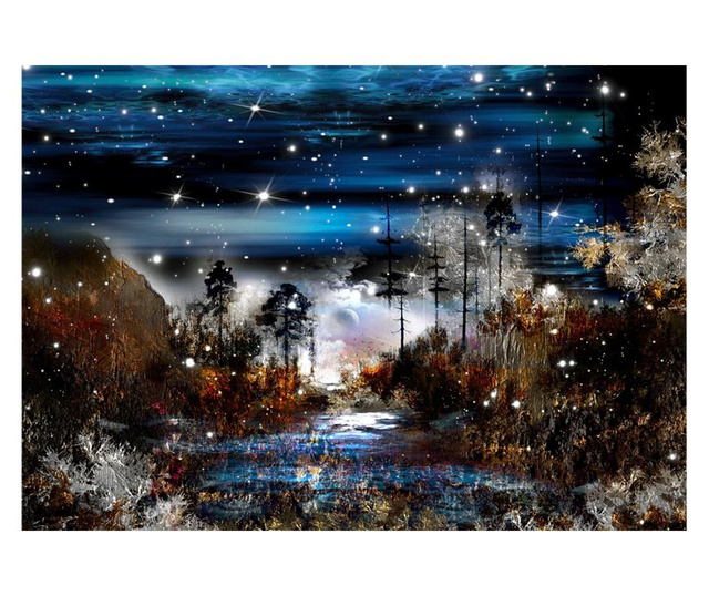Ταπετσαρία Night in the forest 210x300 cm