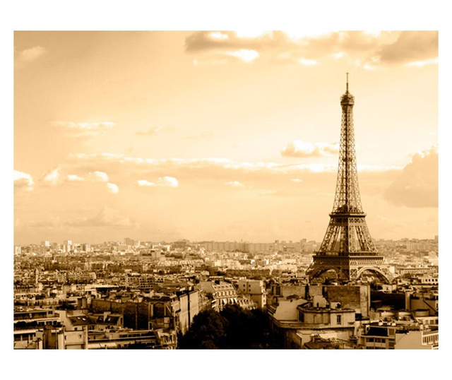 Ταπετσαρία Paris - panorama 231x300 cm
