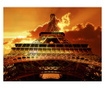 Ταπετσαρία Symbol of Paris 231x300 cm