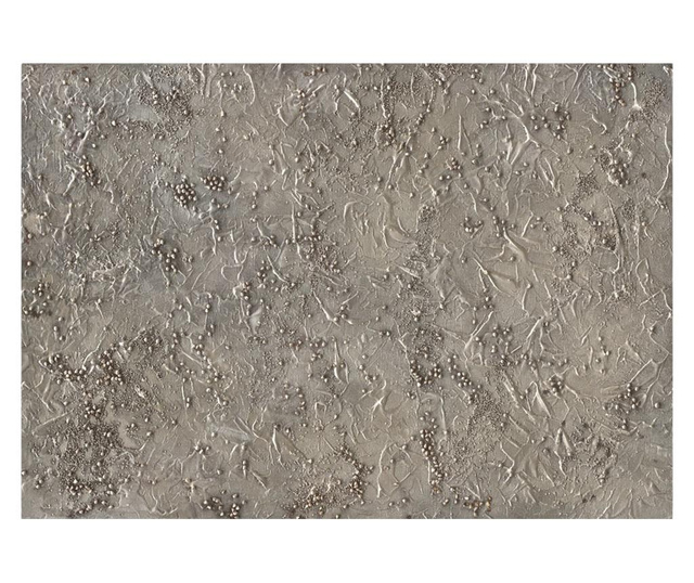 Ταπετσαρία Silver Serenade 175x250 cm