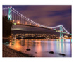 Ταπετσαρία San Francisco: Golden Gate Bridge in black and white 231x300 cm