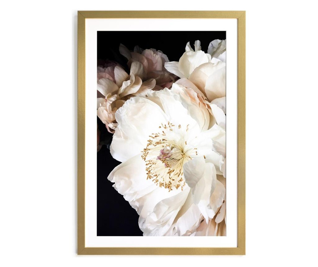 Картина White Flowers 40x60 см