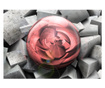 Ταπετσαρία Stone rose 210x300 cm