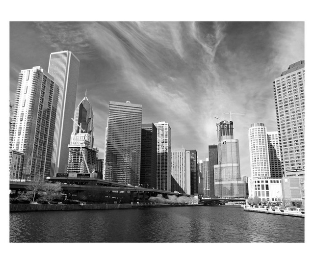 Ταπετσαρία Chicago skyline (black and white) 231x300 cm