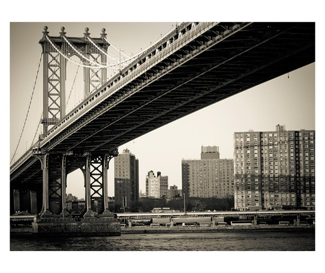 Ταπετσαρία New York City skyline black and white 231x300 cm