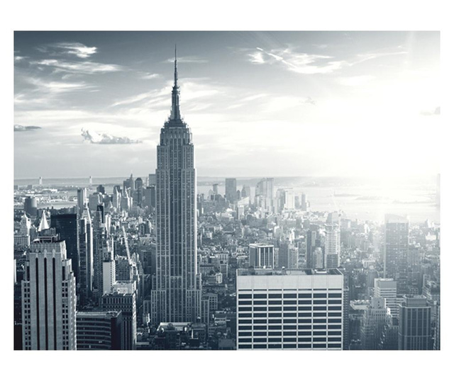 Ταπετσαρία Amazing view to New York Manhattan at sunrise 231x300 cm