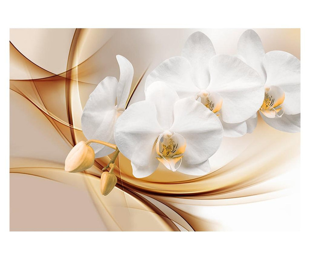 Ταπετσαρία Orchid blossom 210x300 cm