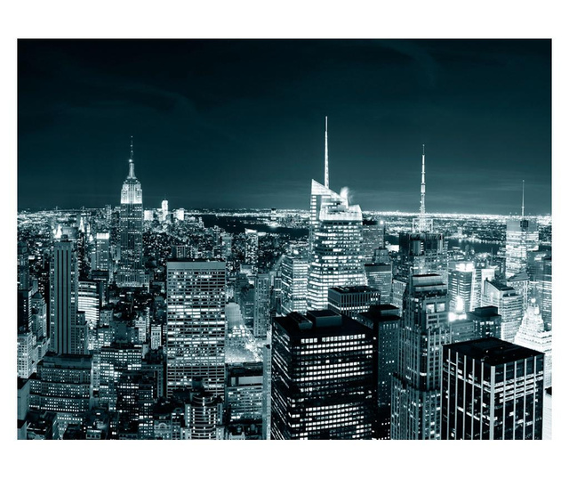 Ταπετσαρία New York City nightlife 231x300 cm