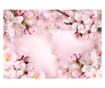 Ταπετσαρία Spring Cherry Blossom 210x300 cm