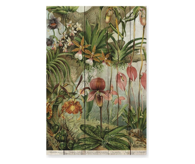 Jungle Flowers Kép 40x60 cm