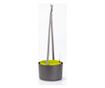 Samozalijevajuća viseća posuda za cvijeće Berberis Anthracite & Green 30 cm