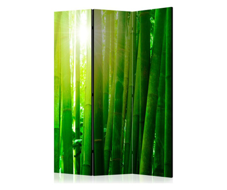 Parawan pokojowy Sun And Bamboo