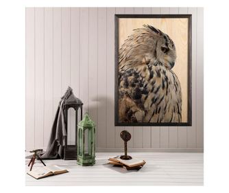 Slika Owl 50x70 cm