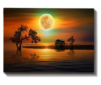 Slika  50x70 cm