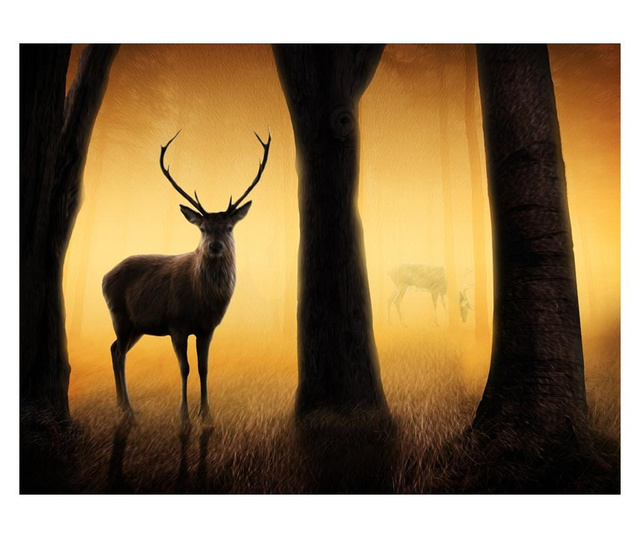 Foto tapeta Deer In His Natural Habitat 154x200 cm
