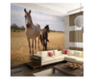 Foto tapeta Horse And Foal 309x400 cm