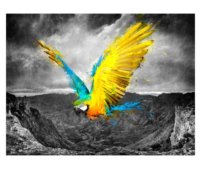 Fototapeta Exotic Parrot 154x200 cm