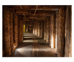 Foto tapeta Wooden Passage 270x350 cm