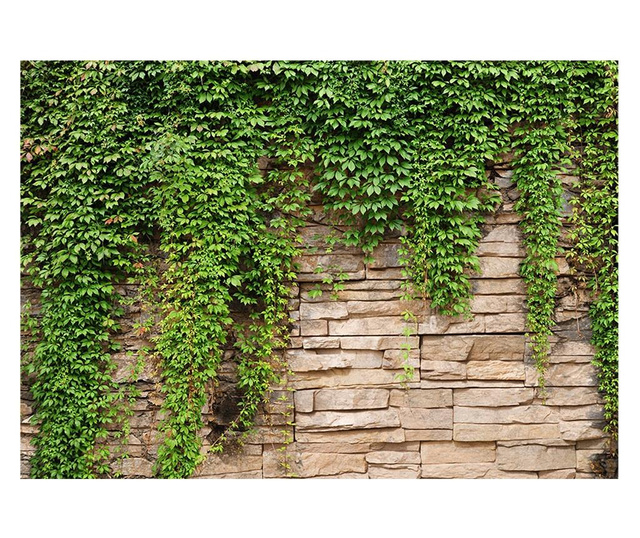 Ivy Wall Fotótapéta 280x400 cm