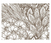 Meadow Black And White Fotótapéta 231x300 cm