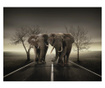 Foto tapeta City Of Elephants 154x200 cm