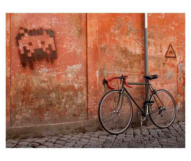 Fototapeta Bicycle 231x300 cm