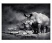 Foto tapeta Rhinoceros Lost In Reverie 154x200 cm