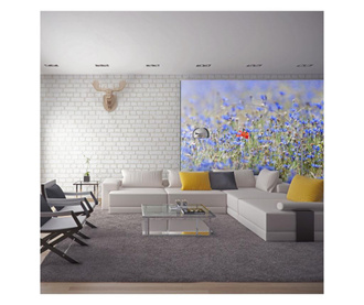 A Skycolored Meadow Cornflowers Fotótapéta 270x350 cm