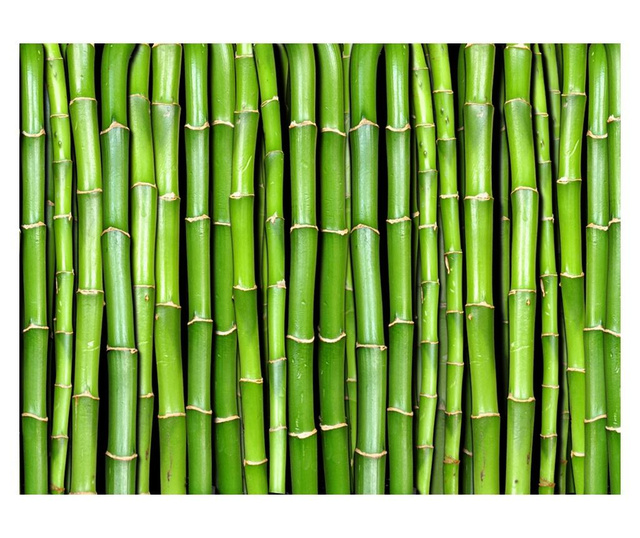 Foto tapeta Bamboo Wall 154x200 cm